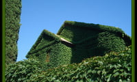 зеленый дом своими руками 