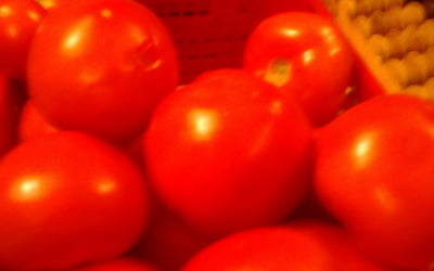 Великаны — помидоры
