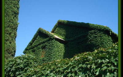 зеленый дом своими руками 