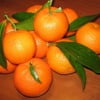 мандарин из Абхазии