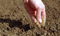 удобрение почвы
