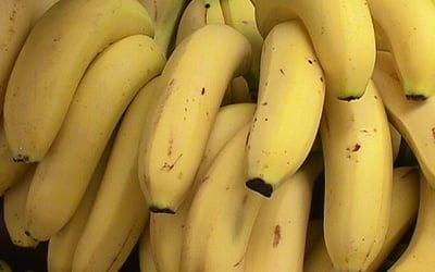 зрелый банановый плод