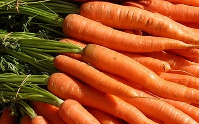 Crops and carrots storage.jpg