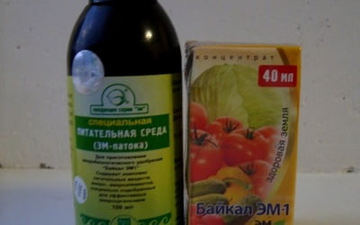 Удобрение "Байкал" и питательная среда